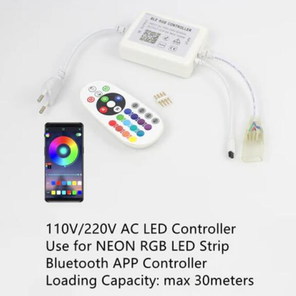 65.6FT (20Meters) LED Neon Rope Lights RGB Color with Remote Controller 8x16(mm) 8Watt 120LEDs/M Flexibl 110V/220V AC Rope Lights Waterproof, Custom Cuttable Neon Lighting for In&Outdoor