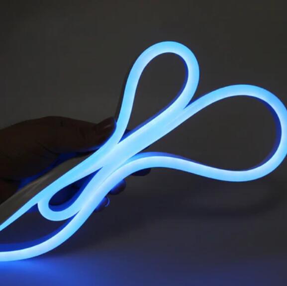 65.6FT (20Meters) LED Neon Rope Lights 8x16(mm) Neon LED Strip Lights 8Watt 120LEDs/M Flexibl 110V/220V AC Rope Lights Waterproof, Custom Cuttable Neon Lighting for In&Outdoor