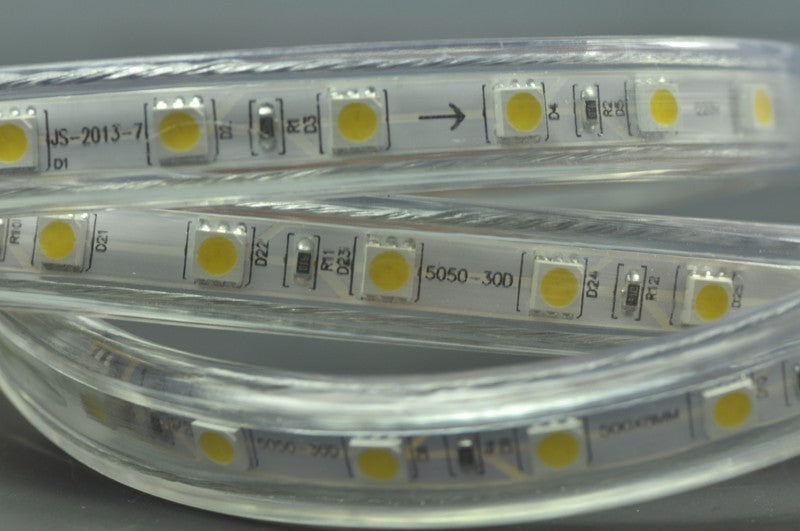5050  RGB 110V 120V 220V 230V LED Strip Rope Light 12MM 60LED 1M  SMD 5050 RGB LED Strip Lights