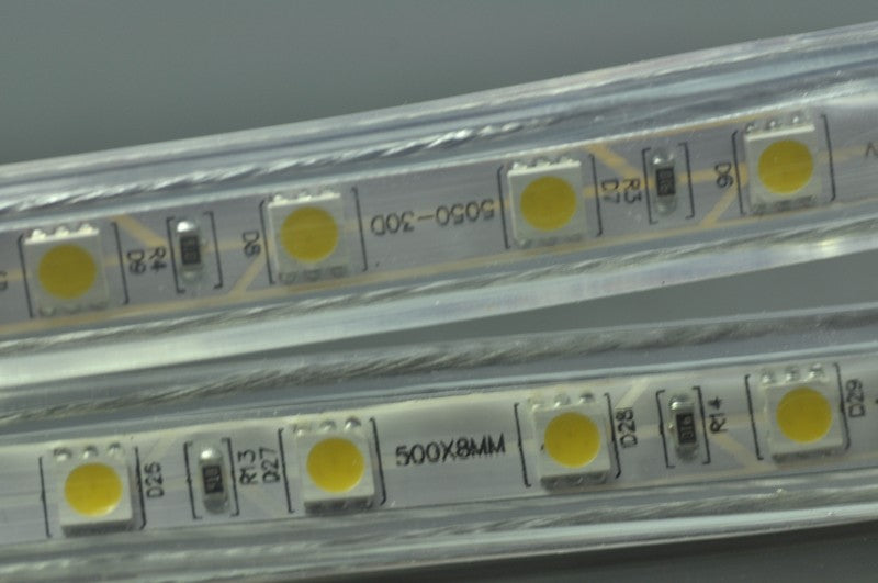 5050  RGB 110V 120V 220V 230V LED Strip Rope Light 12MM 60LED 1M  SMD 5050 RGB LED Strip Lights
