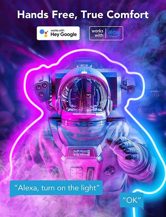 RGB Dream Color LED NEON Strip Light Kit in 16.4FT with 300LEDs Lighting Kit with APP Controlled Sound Active function Wireless Remote Control