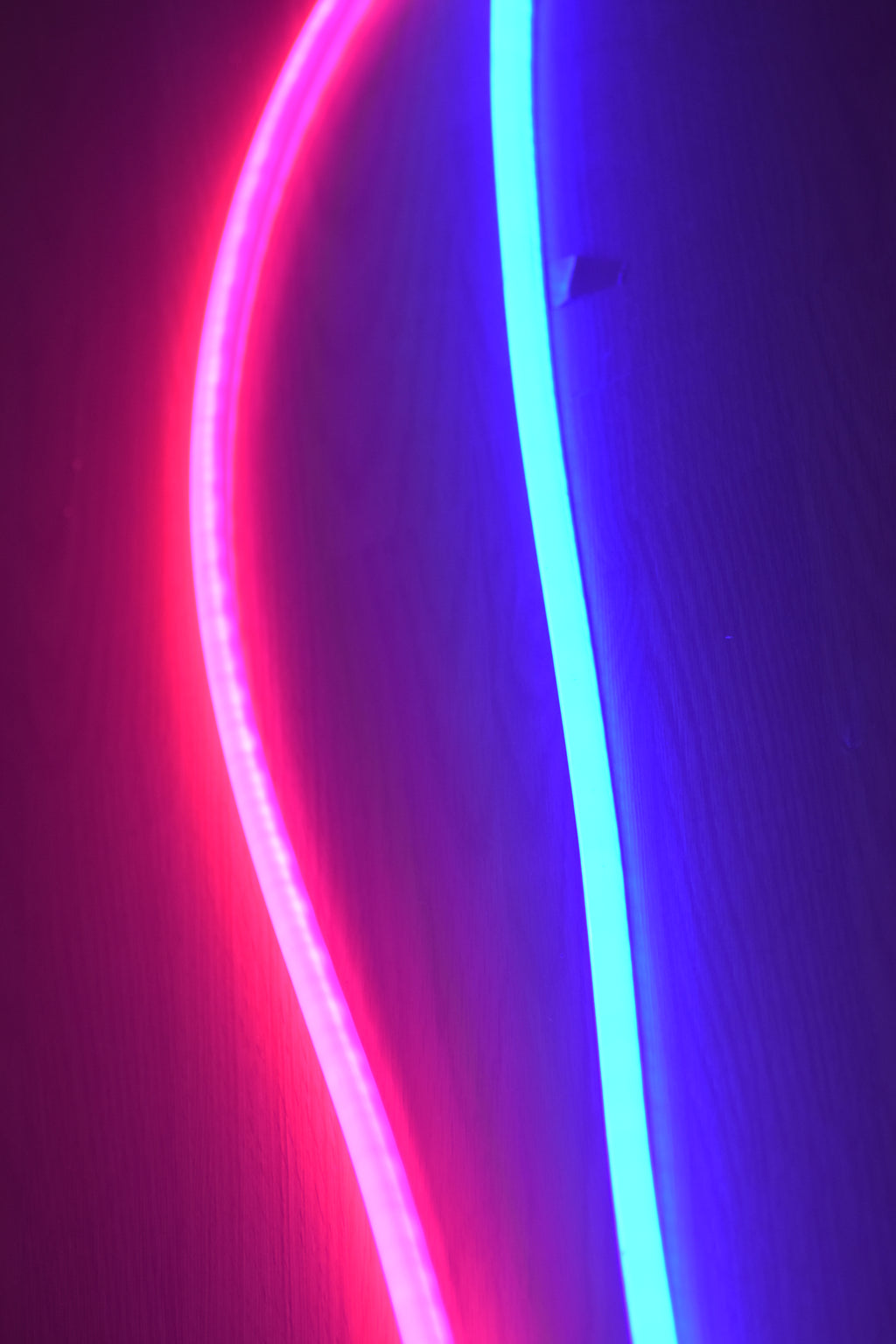 10meter 32.8ft LED Neon Light 12V(optional 24V) Flexible LED Neon Light Strip