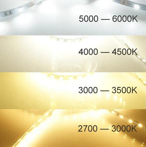 DC 12V Dimmable SMD5050-300 Flexible LED Strips 60 LEDs Per Meter 10mm Width 900lm Per Meter