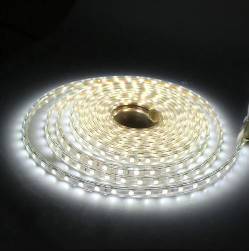 AC 110V 220V SMD5050 High Voltage Flat Strip Light 60 LEDs Per Meter 12mm Width with Wall Outlet Power Plug