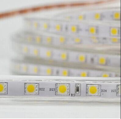 AC 110V 220V SMD5050 High Voltage Flat Strip Light 60 LEDs Per Meter 12mm Width with Wall Outlet Power Plug
