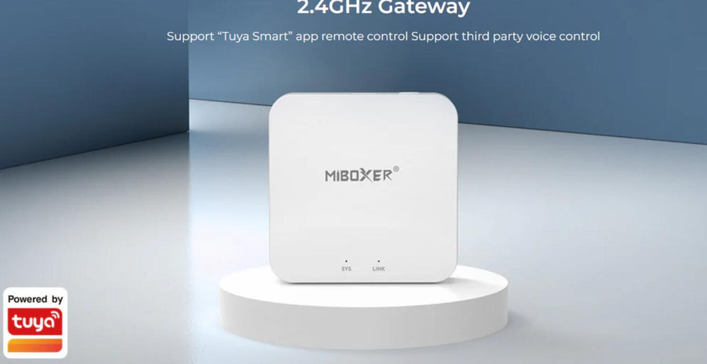WL-Box2 2.4GHz Gateway