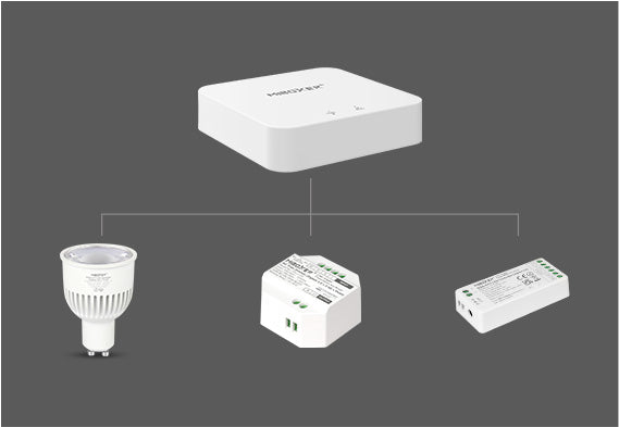 WL-Box2 2.4GHz Gateway