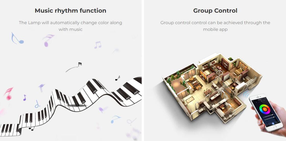 WL5 5 in 1 LED Strip Controller (WiFi+2.4G)